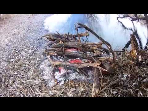 Видео: Река Битюг , п. Нижний Кисляй,  30.03.2019 г, 2 плотвички, окунь и рачок, холод и ветер