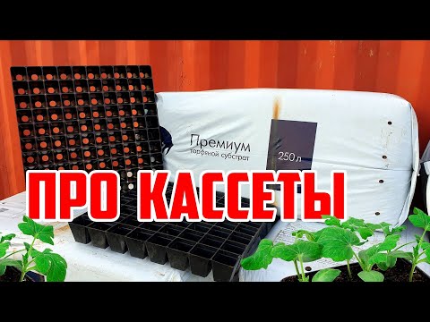 Видео: Про Кассеты 🌱🌱🌱