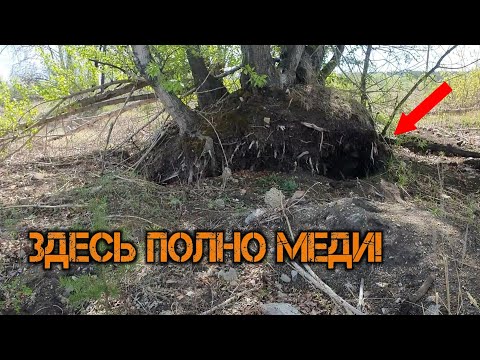 Видео: РАСКОПКИ НА СТАРОЙ СВАЛКЕ. Нашёл полно цветного металла.