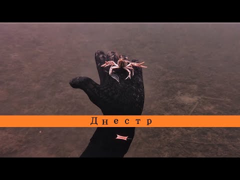 Видео: Что на дне водохранилища ? Река Днестр . Фридайвинг .