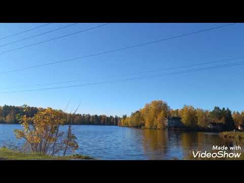 Видео: Проповедь иеромонаха Мефодия (Зинковского). Приблизиться к тому, чтобы отразить в себе Бога