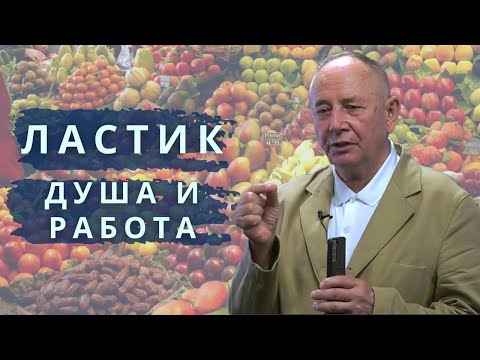 Видео: Как реализоваться в бизнесе? Как Ластик помогает в карьере