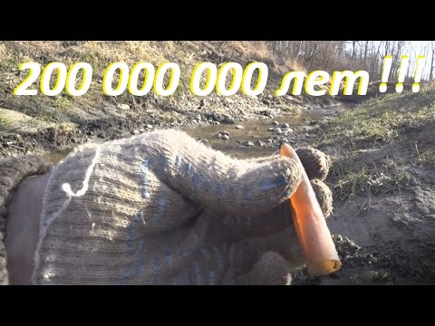 Видео: Я в ШОКЕ!!! Выкопал ПЯТЬ НАХОДОК по 200 000 000 лет, ЗОЛОТО,СЕРЕБРО!