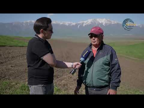 Видео: Тынымсыз шаруадағы Шұбар ауылы / БІЗДІҢ ӨҢІР - БІЗДІҢ ӨМІР / 10.05.2025