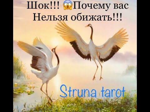 Видео: 🔥ШОК❗️ПОЧЕМУ ВАС НЕЛЬЗЯ ОБИЖАТЬ⁉️⁉️⁉️🔥