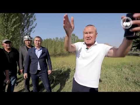 Видео: Оштогу жаңы базарга туш тарабынан жолдор салынууда // Унаа тыгынын алдын алуу иштери жүрүүдө