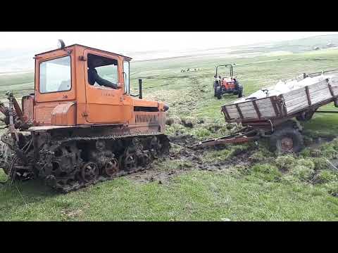 Видео: Застрял прицеп с грузом в болоте, вытянул дт75 #дт75 #прицеп #болота