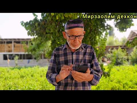 Видео: Рулявуй калунка