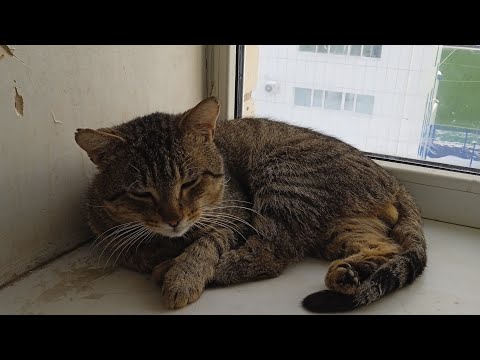 Видео: Расставаться всегда непросто...