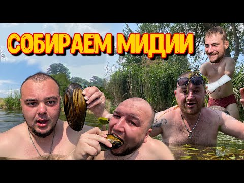 Видео: СОБИРАЕМ МИДИИ РУКАМИ на ТРЕХ РАЗНЫХ ОЗЕРАХ / САНЯ СОЛЬ СЛОМАЛ РУКУ