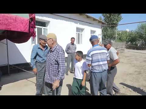 Видео: Арман & Жулдыз.  Беташар✨