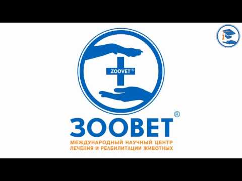 Видео: С.В. Коняев - Протозоозы МДЖ. Трихомоноз. Иксодовые Клещи и паразиты. Инсектоакарициды. Часть 2/4