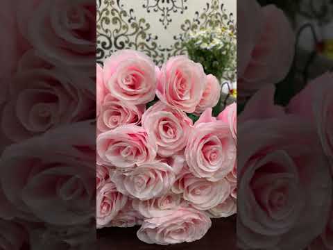 Видео: Тема “Дуба” Рахат Аманбаева