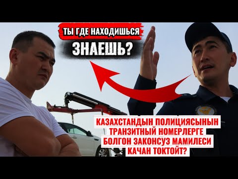 Видео: Казахстандын жолдогу ач калган ит полициясы VS Кыргыз жигит
