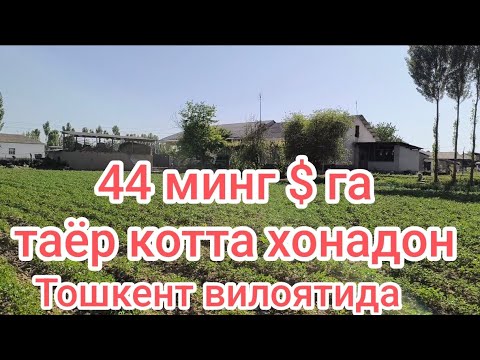 Видео: Файзли катта ховли Уй жой сотувда пули арзон шошилинг