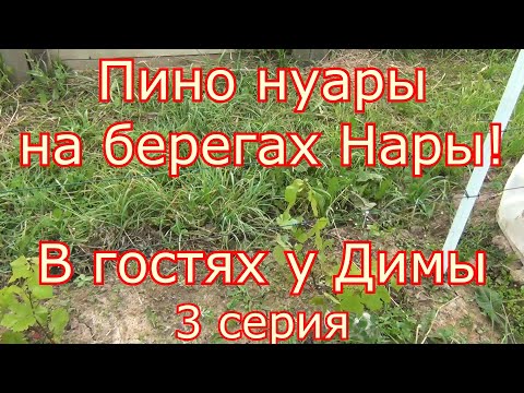 Видео: 3 серия. Пино Нуары на берегах Нары. В гостях у Димы.