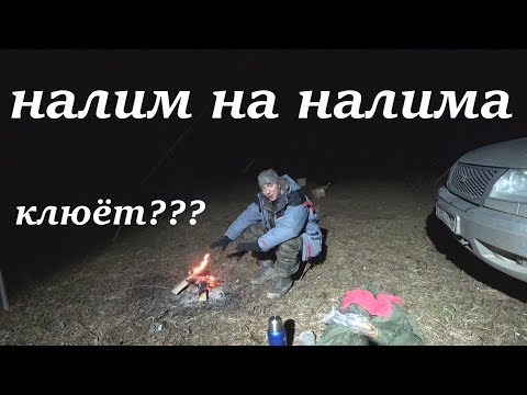 Видео: налим на налима.  КЛЮНЕТ??? донки