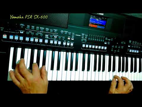 Видео: Вологда ВИА Песняры cover Yamaha PSR SX-600