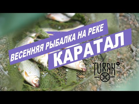 Видео: Весенняя рыбалка на реке Каратал
