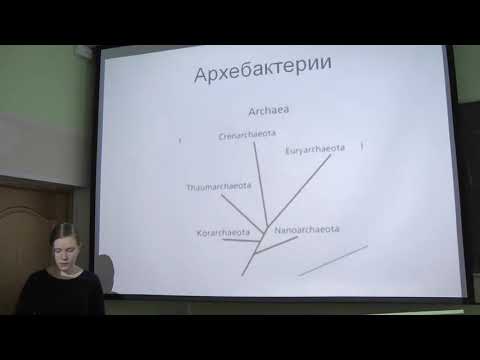 Видео: Микорбиология. Обзор. Звонарева Е. С. edit