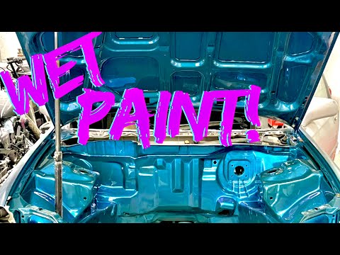 Видео: Civic начинает процесс покраски! | ИНДИВИДУАЛЬНАЯ ПОКРАСКА | СЕРИЯ CIVIC BUILD | BVG