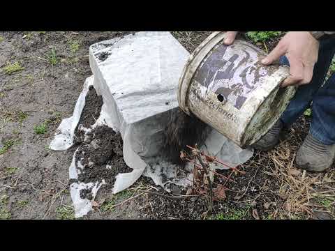 Видео: ВОЗДУШНО - СУХОЕ УКРЫТИЕ КЛЕМАТИСОВ НА ЗИМУ.