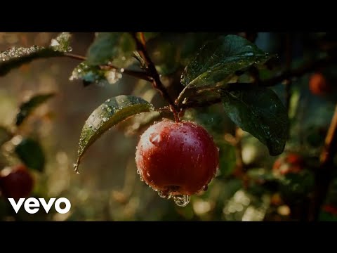 Видео: Daler Tillaev - Вот яблоня (Official Music Video)