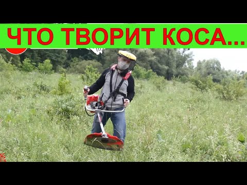 Видео: Эта Бензокоса заменит Stihl ?! Мотокоса Vitals Bk 4123s Покос травы триммером