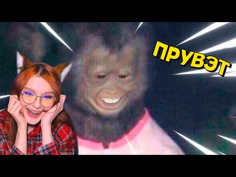 Видео: ЗАСМЕЯЛСЯ - ПРОИГРАЛ!ЛУЧШИЕ ПРИКОЛЫ I 623 СЕКУНД СМЕХА I ТЕСТ НА ПСИХИКУ БАЛТИМОР