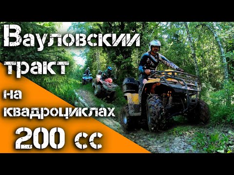 Видео: ВАУЛОВСКИЙ ТРАКТ на КВАДРОЦИКЛАХ 200СС