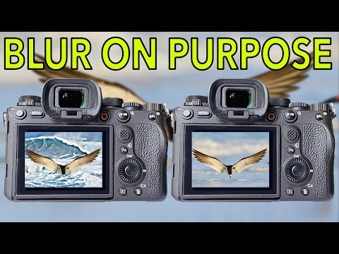 Видео: Перестаньте гадать о размытом фоне — вместо этого овладейте глубиной резкости