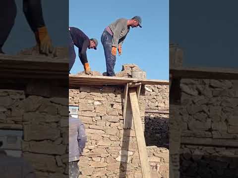 Видео: 3 августа 2022 г.