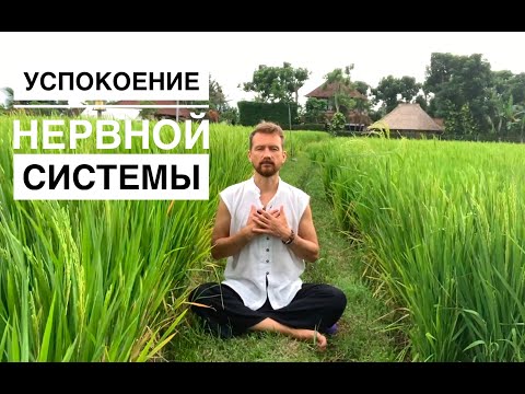 Видео: Медитация успокоение нервной системы. Как перестать нервничать, снять стресс и исцелить себя