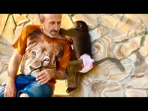 Видео: Влад РАССТРОИЛСЯ совсем из-за поведения Люси и Степа пришел утешить папу,ведь Люська его игнорит
