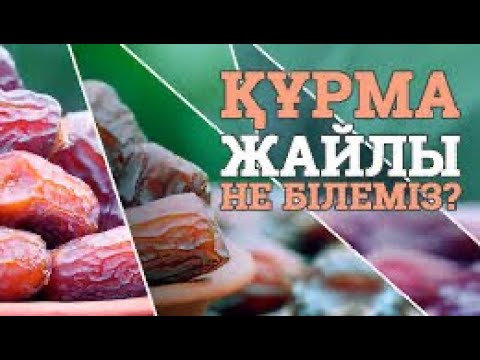 Видео: Құрма бағындағы - сіз естімеген қызықты әңгімелер!