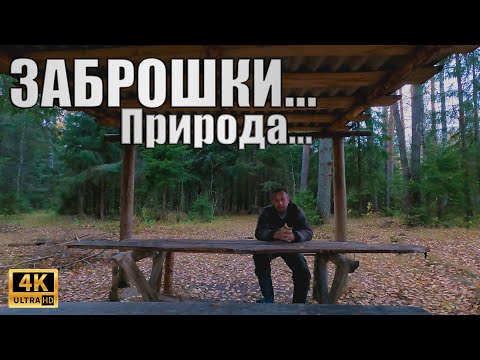Видео: ЛЕСНАЯ прогулка за МЕТАЛЛОМ/ Металлокоп у ПРОПАВШЕЙ ДЕРЕВНИ \ ВСЕ ТАКИ копнул МЕТАЛЛА!