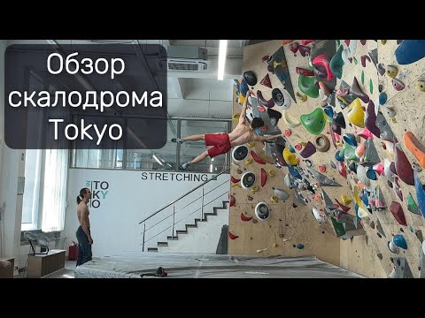 Видео: Обзор скалодрома Tokyo / Лазаю, болтаю, снимаю, раздаю стиля