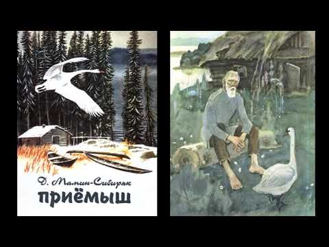 Видео: Д. Мамин-Сибиряк "Приёмыш"