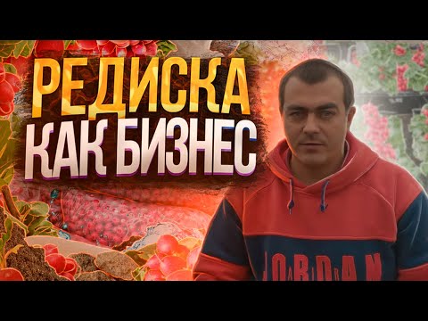Видео: Выгодно ли выращивать редис в малых объёмах? Посадка, уход, реализация, ДОХОД. Редис Селеста.