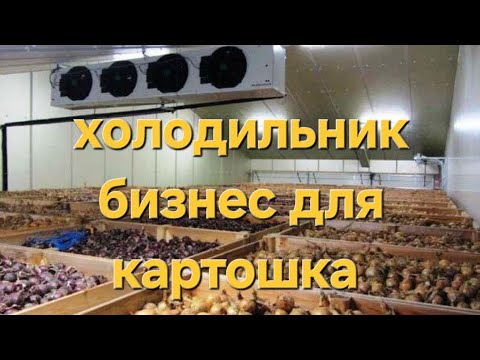 Видео: #Холодильник #бизнес #узбек ❄️🌬🍊🍎🥕 +998998274859 +998335098909