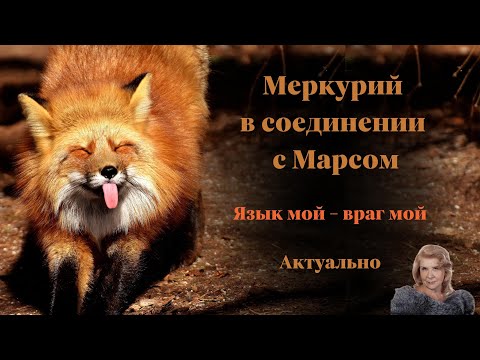 Видео: ЯЗЫК МОЙ -   ВРАГ МОЙ