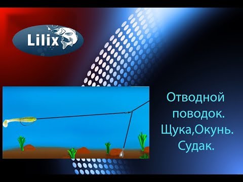 Видео: Отводной поводок. Щука. Окунь. Судак