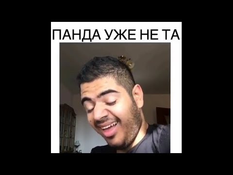 Видео: Panda E уже не та ( песни уже не те) Роман Каграманов