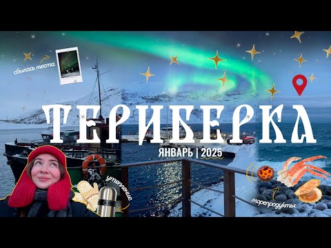 Видео: VLOG: Териберка. Северное сияние, новогодние каникулы, 3 дня