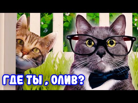 Видео: ОЧЕНЬ КРУТОЙ ФИНАЛ! ГЕННАДИЙ ИГРАЕТ В COPYCAT!