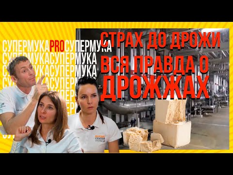 Видео: Страх до дрожи: вся правда о ДРОЖЖАХ