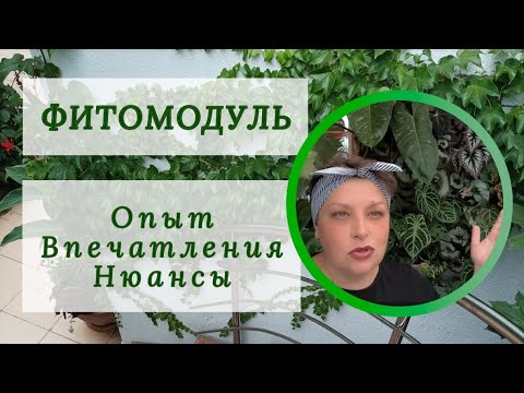 Видео: ФИТОМОДУЛЬ. Опыт, впечатления, нюансы. 😉