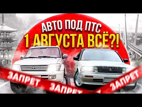 Видео: ПРОЩАЙ, КОНСТРУКТОРЫ АВТО ИЗ ЯПОНИИ⁉ ЗАПРЕТ НА ЭКСПОРТ.