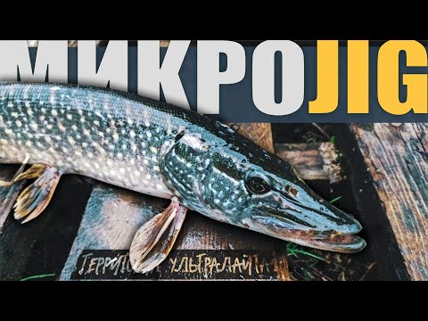 Видео: РЫБАЛКА НА СЛОМЕ ПОГОДЫ. ЭТИ ОКУНИ ЗАЛЕТАЮТ С ДИКИМИ ПОКЛЕВКАМИ ► МИКРОДЖИГ