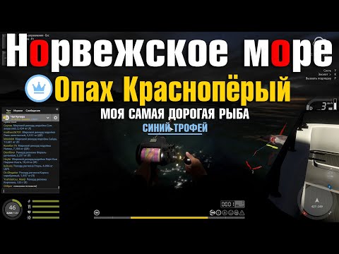 Видео: Синий Опах • Самая Дорогая Рыба • Морской Троллинг • Норвежское Море • Русская Рыбалка 4